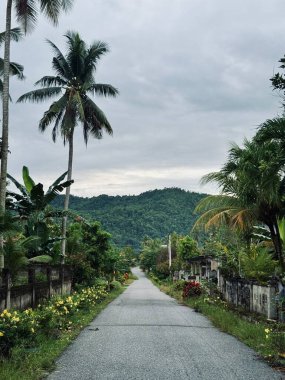 Bereketli tropikal arazi boyunca uzanan boş yol bulutlu bir gökyüzünün altındaki bir dağa çıkar. Yolculuk için mükemmel.