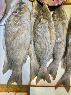 Kalabalık bir pazarda taze balık gösteriyorlar. Aşçılık sanatının özünü yakalamak, sağlıklı beslenmek ve canlı deniz ürünleri ticareti. Gıda blogları ve restoran pazarlama için ideal.