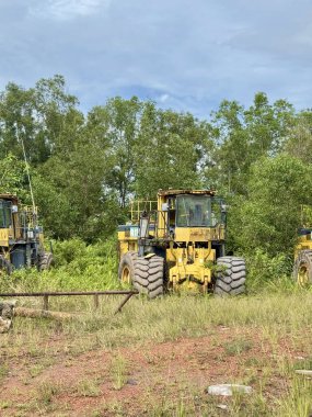 Abandoned yellow logging machines resting in a clearing, hinting at industry decline and environmental impact, suitable for documentary use
