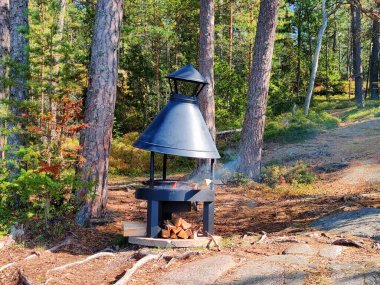 Finlandiya 'da ızgara, grillipaikka, balta ve ormandaki odun deposunda odun kesme yeri. Evi ısıtmak için kışa odun hazırlıyorum.