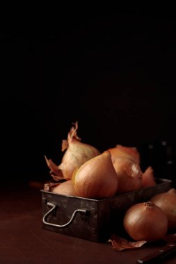 Taze hasat edilmiş sarı soğan soğanları, kabuğu eski metal bir kutunun içinde, karanlık bir arkaplanda, organik ürünler sağlıklı yiyecekler için, ev yemekleri için, dikey yakın çekim pankartları, fotokopi alanı olan