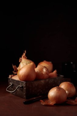 Taze hasat edilmiş sarı soğan soğanları, kabuğu eski metal bir kutunun içinde, karanlık bir arkaplanda, organik ürünler sağlıklı yiyecekler için, ev yemekleri için, dikey yakın çekim pankartları, fotokopi alanı olan
