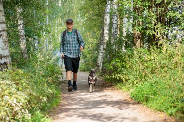 Siyah ve bronz bir Japon Shiba Inu cinsi ile parkta yürüyen bir adam, bir insan ve köpek dostluğu, Finlandiya, Avrupa 'da parkta sahiple yürüyen bir hayvan.