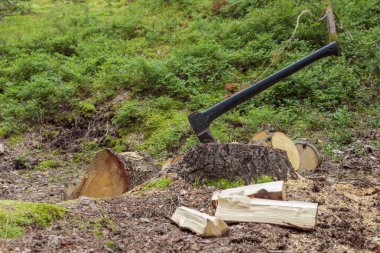 Baltayı sapla. Balta kereste kesmeye hazır. Orman koruması. Oduncu baltası, kereste doğrama. Seyahat, macera, kamp malzemeleri, açık hava eşyaları. Boş boşluklu pankart