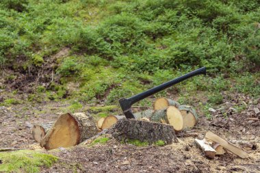 Baltayı bacağa sapla. Balta kereste kesmeye hazır. Ahşap işçiliği. Oduncu baltası, kereste doğrama. Boş boşluklu pankart