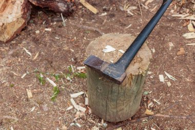 Baltayı sapla. Balta, Finlandiya ormanlarında kereste kesmeye hazır. Evi ısıtmak için kışa odun hazırlıyorum.