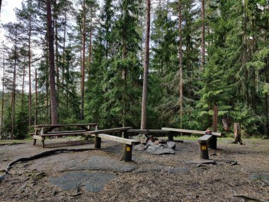 Yangın yeri, Ulusal Park Nuuksio, Finlandiya 'da grillipaikka. Yürüyüş, dışarı çıkmak.