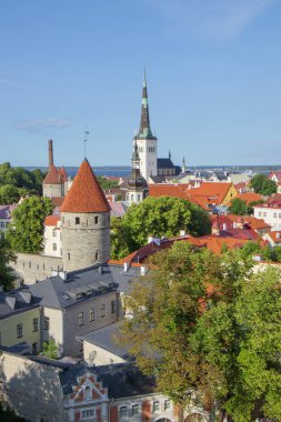 Tallinn, Estonya, 29 Haziran 2024 - Eski Tallinn kentinin yazları çatıları, turizm tarihi yerleri