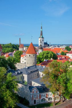 Yazın, Temmuz 'da eski Tallinn kasabasının çatılarını görmek. Estonya