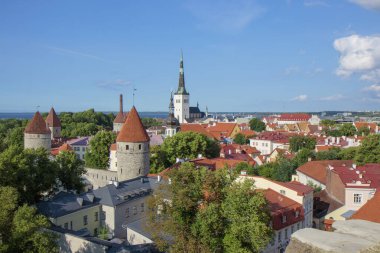Yazın, Temmuz 'da eski Tallinn kasabasının çatılarını görmek. Estonya