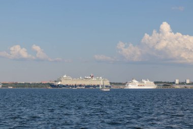 Finlandiya Körfezi, Estonya, 30 Haziran 2024 - Tallinn feribotlu feribot limanı güneşli havalarda Tallinn şehrinin arka planında