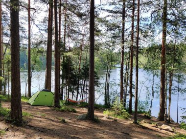 Çam ağaçlarının altında hamaklı çadır ve güzel yaz güneşi ışığı. Göl kenarındaki yeşil ormanda kamp yapan bir turist sahnesi. Açık hava yaşam tarzı tatilleri.