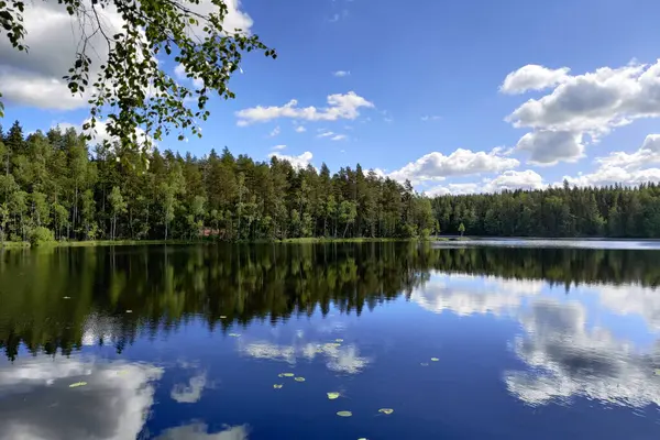 Göl, orman ve mavi bulutlu gökyüzü olan tipik Finlandiya Ulusal Parkı manzarası. Yaz mevsiminde vahşi doğa