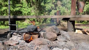 Ormanda yemek ve yemek yapmak.