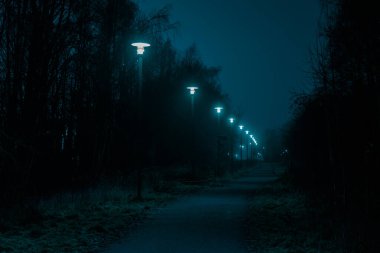 Parktaki sisli gece yolu sokak ışıklarıyla aydınlatılıyor. Finlandiya, Espoo 'da gece vakti şehir manzarası