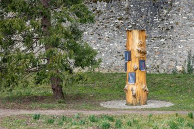 Okuyucular arasında kitap alışverişi için parktaki bir ağaç gövdesindeki küçük ücretsiz halk kütüphanesi. Arka planda - taş duvar, kitap çapraz kültür, eğitim hayır kurumu konsepti, Paris, 2025