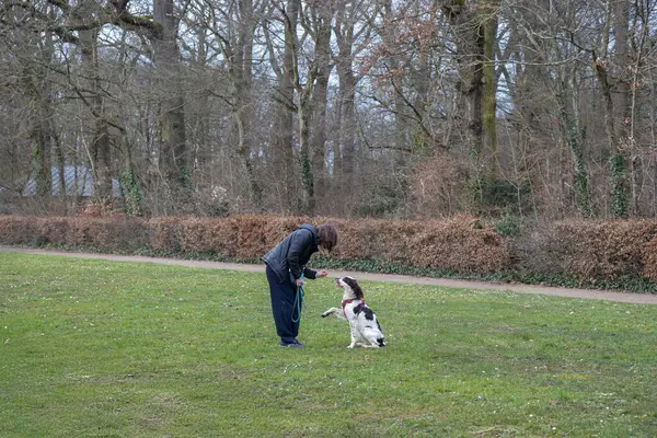 Paris, Fransa - 21 Şubat 2025 - Bir bahar günü parkta köpek besleyen kadın. Arkadaşlık, bakım, eğitim, hayvan sağlığı kavramı.