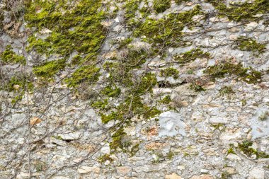 Çok eski yıpranmış taş duvarın pürüzlü dokusu. Yüzeyinde zaman ve yosun izleri var. Tasarım için doku arka planı. Mason gemisi