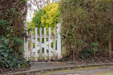 Eski eskimiş ve soyulmuş beyaz ahşap kapı yeşil çalılar, yatay arka plan.