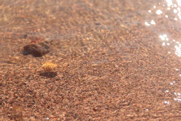 Sahilde ıslak kumun yakın çekimi, sonbaharda Finlandiya 'nın doğasının ham ekolojik dokuları - zengin bir sonbahar tonu. Sakin bir mevsimlik arka plan olarak İskandinav ormanlarının güzelliği