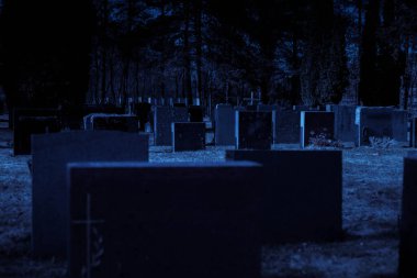 Finlandiya 'da, taş haçla işaretlenmiş ıssız bir mezarlığın bulunduğu huzurlu bir Lüterik mezarlığı. Çevre sakin ve sakin, saygılı bir atmosferi yansıtıyor.