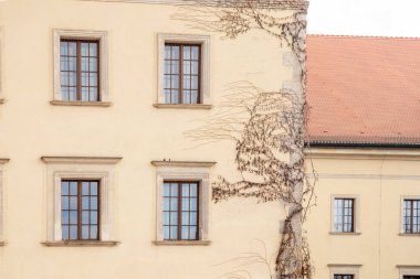 Krakow, Polonya - 9 Şubat 2025: Eski binaların, sokakların, zengin Avrupa kültür mirasının ve Krakov 'un tarihi kentinin cazibesindeki güzel, ilkbahara benzer bir günün görüntüsü