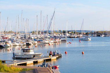 Hanko, Finlandiya - 20 Temmuz 2025: Açık bir günde limana demirlemiş yelkenli ve yatlarla Hanko limanının güzel manzarası, canlı ve canlı bir deniz atmosferi sergiliyor.