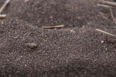 Finlandiya 'nın Jussaro Adası' nın eşsiz plajındaki koyu demir kumların yakın görüntüsü. Kıyı şeridi demir cevheri madenciliği tarafından şekillendirildi ve sanayi geçmişine dair çarpıcı bir iz bıraktı.