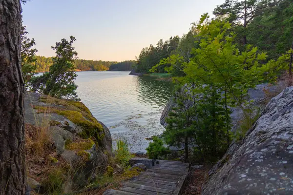 Ahşap bir merdiven Finlandiya 'da denize giden kayalık bir sahil yamacına çıkar. Çevre dostu ortam, çevresel bakım ve doğal güzelliğin vurgulandığı, bozulmamış doğaya sürdürülebilir erişimin altını çiziyor.