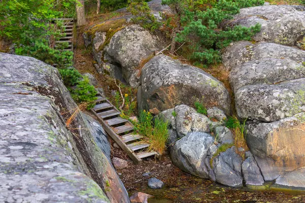 Ahşap bir merdiven Finlandiya 'da denize giden kayalık bir sahil yamacına çıkar. Çevre dostu ortam, çevresel bakım ve doğal güzelliğin vurgulandığı, bozulmamış doğaya sürdürülebilir erişimin altını çiziyor.