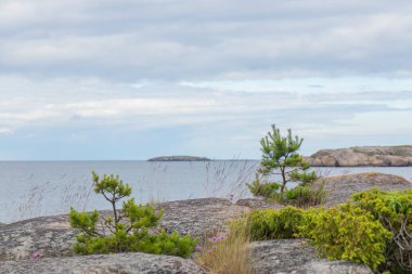 Fin takımadalarından, çam ağaçları, deniz ve granit kayaları olan huzurlu bir sahil manzarası. Kırılgan ada ekosistemlerini korumak ve doğal mirası korumak. Jussaro, 2025