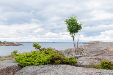 Deniz manzarası, çimenlerle kaplı kıyılar, dağınık kayalar ve ufuktan yükselen deniz feneri, deniz ekosisteminde doğa ile insan varlığı arasındaki uyum, Jussaro, Finlandiya