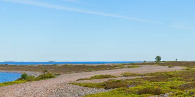 Finlandiya 'daki Jurmo Adası' nın çorak ve düz manzarası, düşük büyüyen bitkilerle kaplı açık bir gökyüzünün altında uzanır. Bu eşsiz İskandinav manzarası dayanıklılık, izolasyon ve kırılgan ada ekolojisini yansıtır.