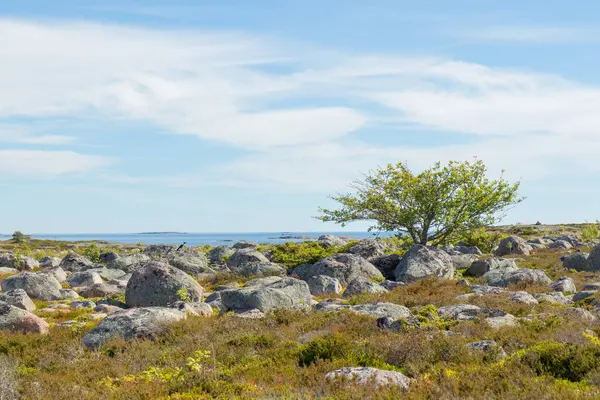 Finlandiya 'nın Jurmo Adası' na dağılmış buzul taşları antik buzul çağının geri çekilme hikayesini anlatır. Ham, el değmemiş manzara doğal tarihi, jeolojik süreçleri ve İskandinav adasının vahşi doğasını yansıtır.
