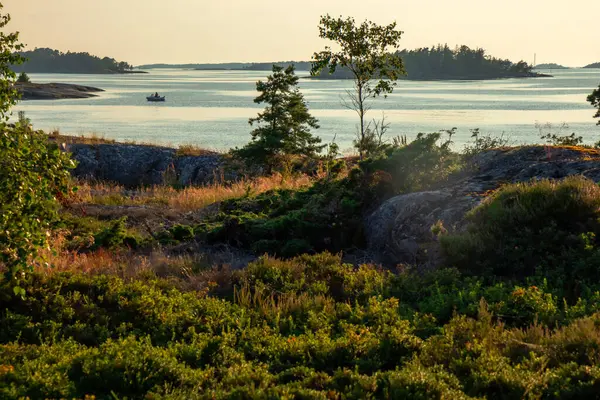 Altın gün batımı ışığı Fin takımadalarının ada florasını yıkayarak otların, yosunların ve alçak bitkilerin hassas dokularını ortaya çıkarır. Sahne huzuru, ekolojiyi, doğal uyumu yansıtıyor.