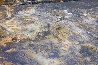 Çiçek açan mavi-yeşil algler ile su kirliliği - siyanobakteri dünya çevresel sorunudur. Su vücutları, nehirler ve zararlı alg çiçekleri olan göller. Kirlenmiş doğa ekolojisi kavramı