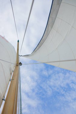 Güneşli bir havada sakin denizde rüzgarı yakalayan yelkenli bir yatın beyaz yelkeni ve Genoa yelkeni. Finlandiya Körfezi 'nden sakin deniz manzarası, rahatlık ve deniz zarafetinin vurgulanması