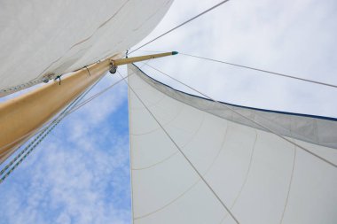 Güneşli bir havada sakin denizde rüzgarı yakalayan yelkenli bir yatın beyaz yelkeni ve Genoa yelkeni. Finlandiya Körfezi 'nden sakin deniz manzarası, rahatlık ve deniz zarafetinin vurgulanması