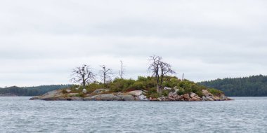 Kuzey manzarasında ölü ağaçlar olan bir ada. Ekolojik değişimi, doğal bozulmayı ve Baltık bölgesinin engebeli kıyı ortamını vurgulayan dramatik bir sahne