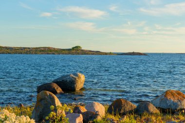 Baltık Denizi kıyısındaki taşlar. Doğal, dokunulmamış kıyı şeridi çevre koruma, deniz ekosistemi ve kuzey sürdürülebilir manzaraları vurguluyor
