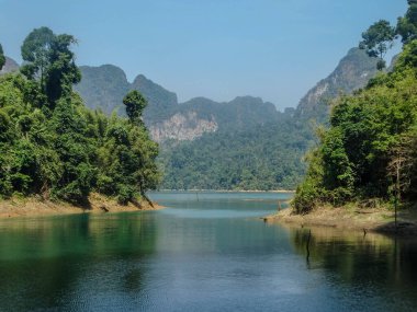 Tayland 'daki Khao Sok Ulusal Parkı' nda dağlarla ve ağaçlarla çevrili bir gölün panoramik görüntüsü. Manzara, bölgenin baş döndürücü doğal güzelliğini yansıtıyor..