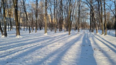Sabahları parkta karla kaplı güzel bir manzara.