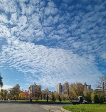 Parkın güzel manzarası