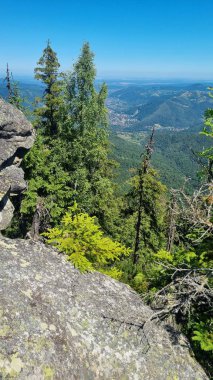 Arkasında bir dağ olan güzel bir manzara.