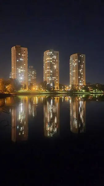 Kuşlar, göl, şehir, binalar