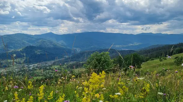 Arkasında bir dağ olan güzel bir manzara.