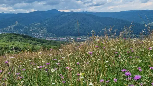 Dağlarda dağları olan güzel bir manzara.