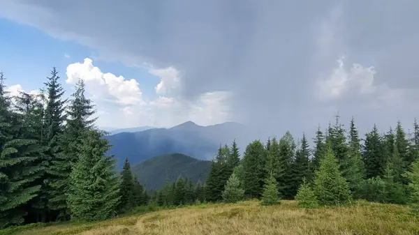 Karpatlar 'ın sisli dağ vadisi
