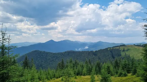 Dağdan ormana güzel bir manzara.