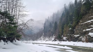 Dağların güzel manzarası Karpatlar Ukrayna